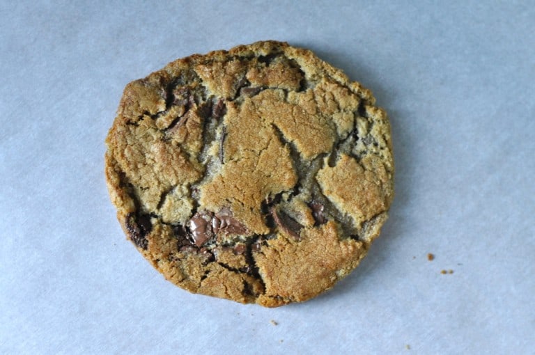 Blind Dog Chocolate Chip Cookie